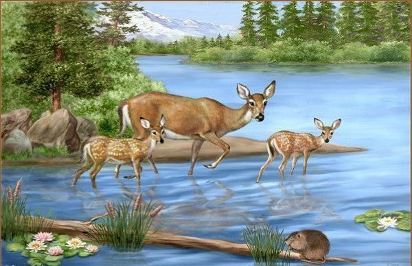 фауна - фауна, олени, картина, животные, природа - оригинал