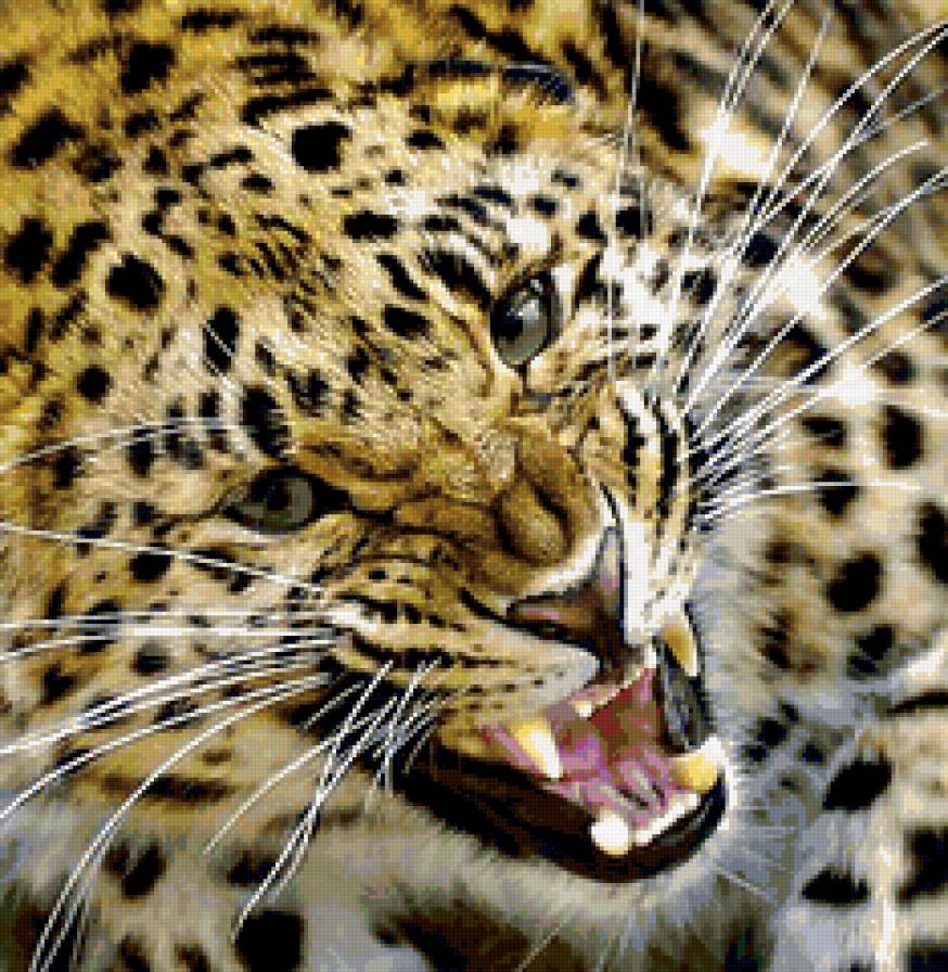 фауна - природа, животные, картина, фауна, ягуар - предпросмотр