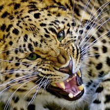 Схема вышивки «фауна»