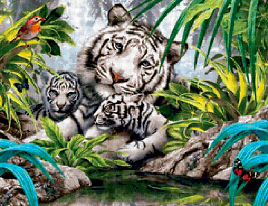 фауна - картина, фауна, природа, тигры, животные - предпросмотр