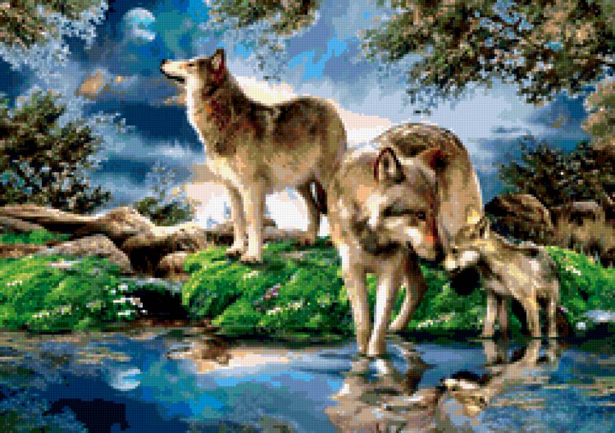 фауна - волки, фауна, природа, картина, животные - предпросмотр