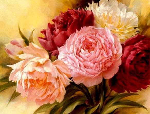 пионы - , натюрморт.пионы, природа, романтика, букет, цветы - оригинал