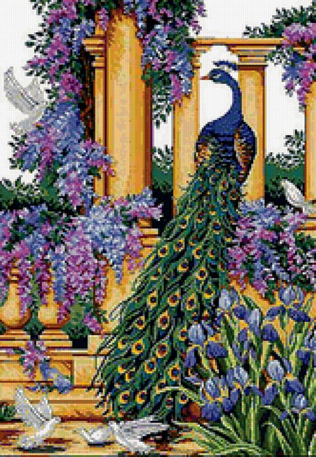 павлин - цветы, подушка, павлины - предпросмотр