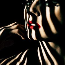 Схема вышивки «зебра»