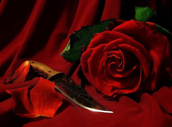 ЦВЕТОК И НОЖ - композция, нож, цветы, роза - оригинал