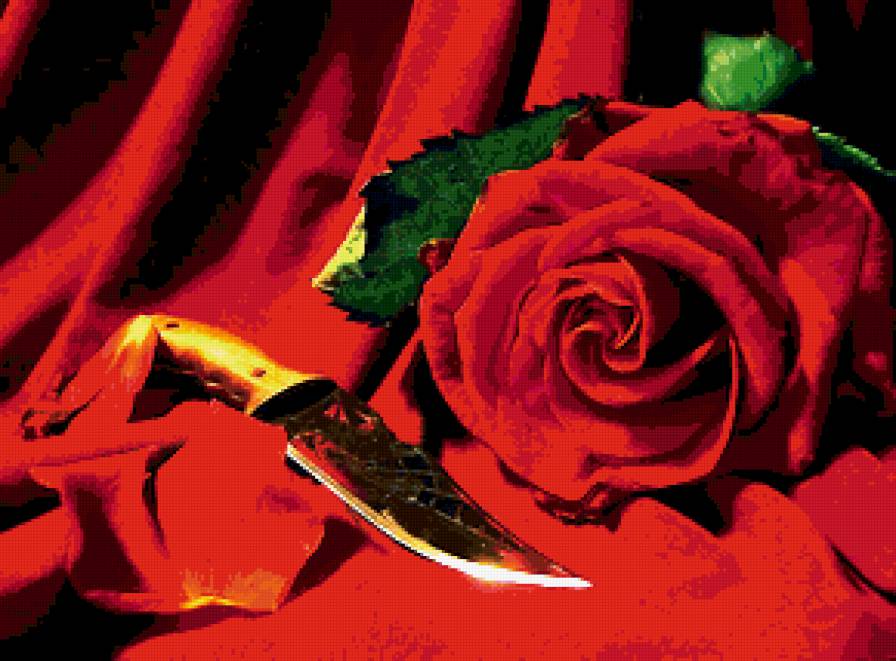 ЦВЕТОК И НОЖ - нож, композция, цветы, роза - предпросмотр