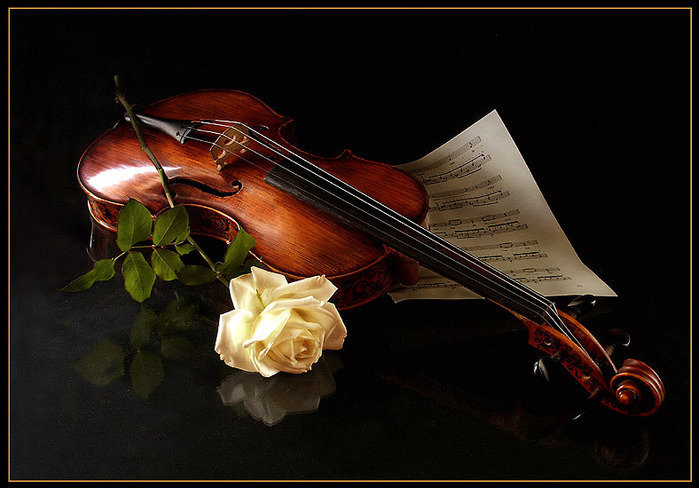 РОЗА - музыкальный инструмент, скрипка, роза, романтическая ночь, ноты - оригинал