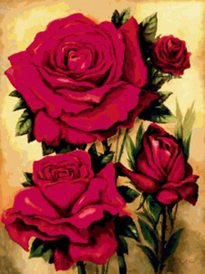 РОЗЫ - красная роза, цветы, букет - предпросмотр