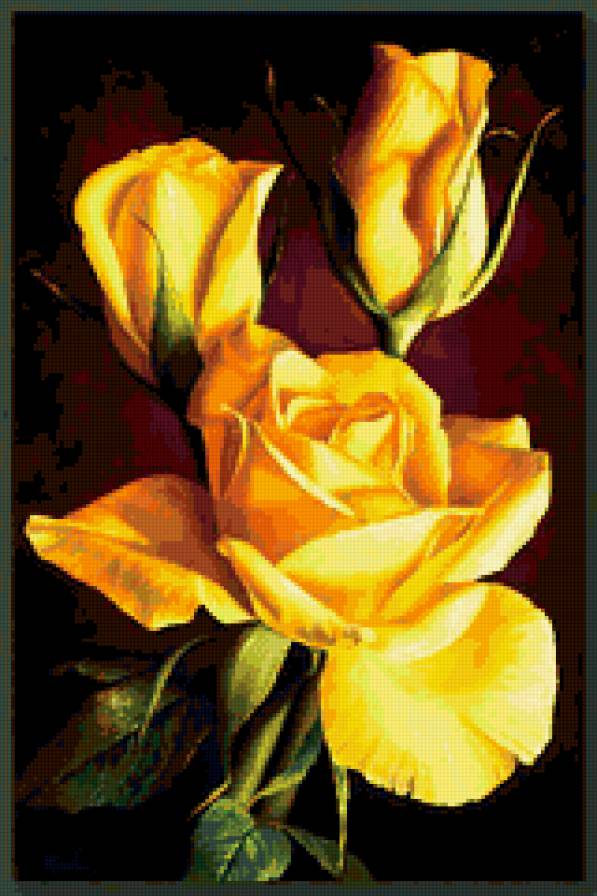 цветы - природа, натюрморт.розы, букет, , цветы, романтика - предпросмотр