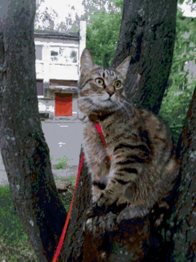 на прогулке - предпросмотр