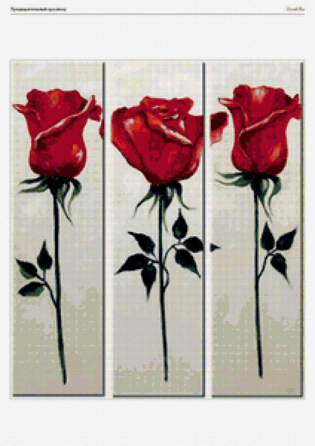 РОЗЫ - красные розы, цветы, триптих - предпросмотр