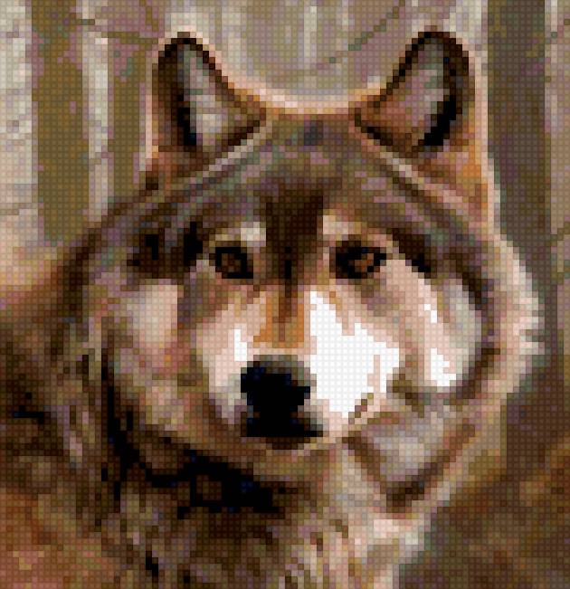 Волк - животные, природа, волк - предпросмотр