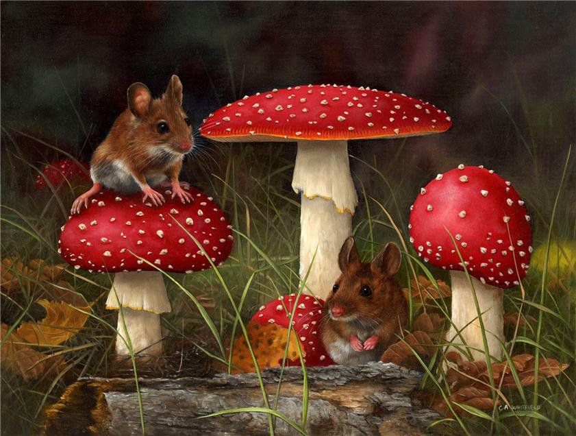 Лесные жители. - грибы, мышки, животные, природа - оригинал