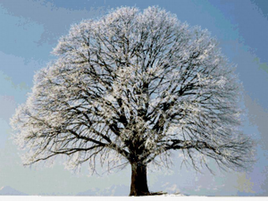 зима - предпросмотр