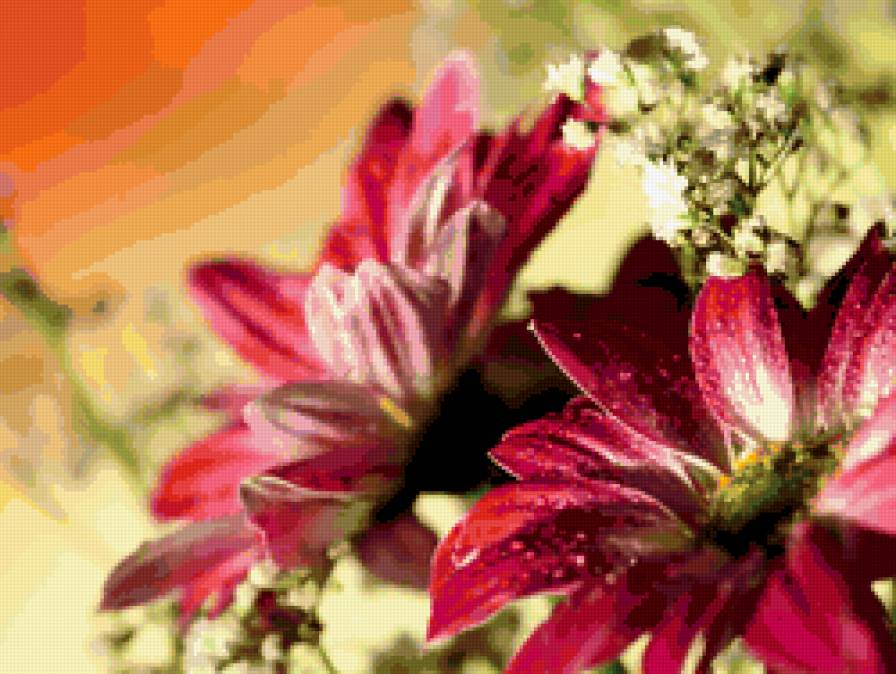 красные герберы - цветы - предпросмотр