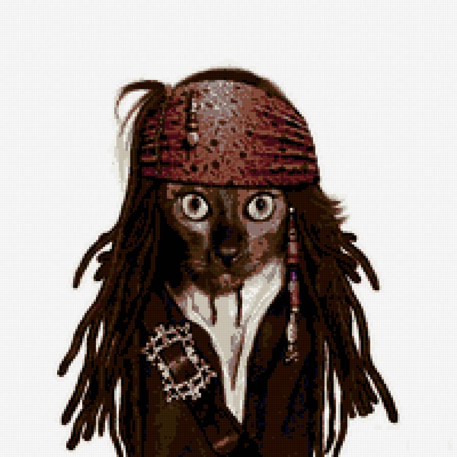 кот-пират - звезды, юмор, животные - предпросмотр