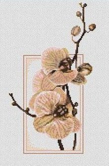 №219177 - оригинал