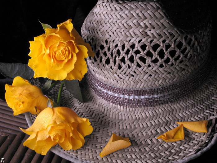 РОЗЫ - шляпа, желтые розы - оригинал