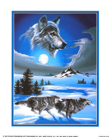 волк - волки - оригинал