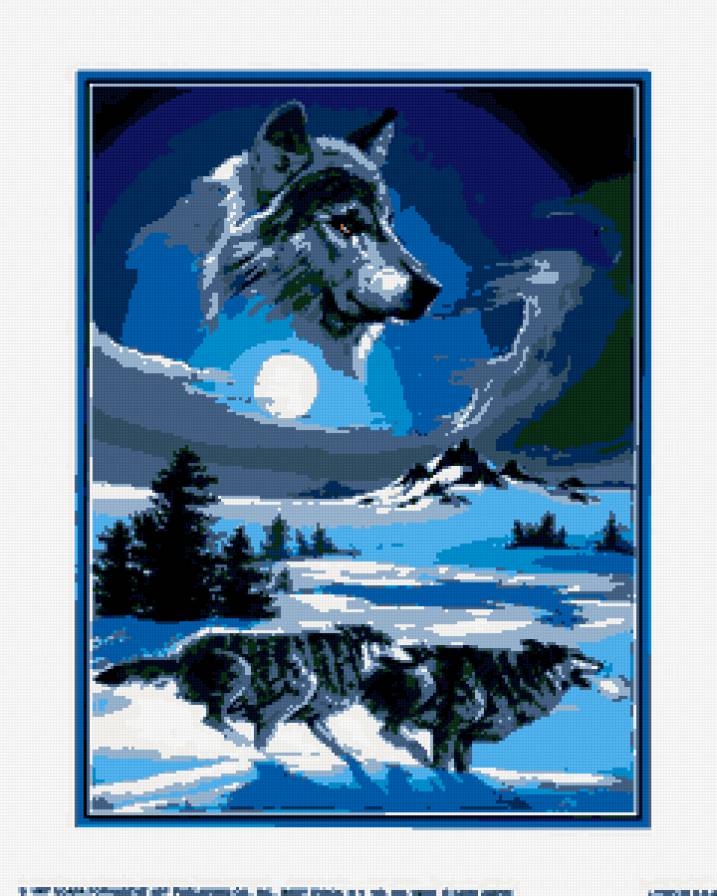 волк - волки - предпросмотр