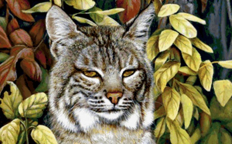 №219384 - предпросмотр