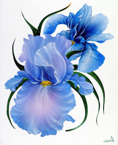 iiris - оригинал