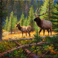 Схема вышивки «№219750»