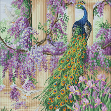 Схема вышивки «павлин 2»