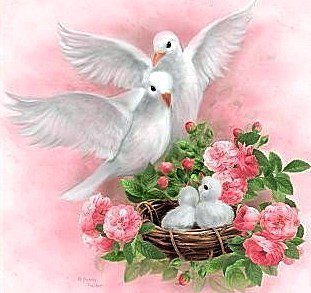 №220252 - оригинал