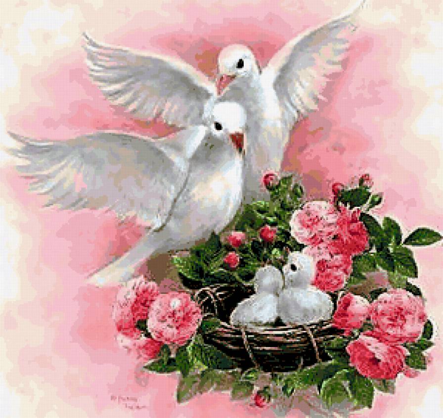 №220252 - предпросмотр