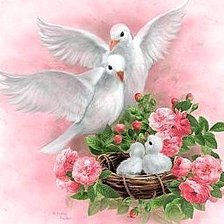 Схема вышивки «№220252»