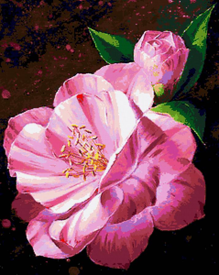 №220253 - предпросмотр