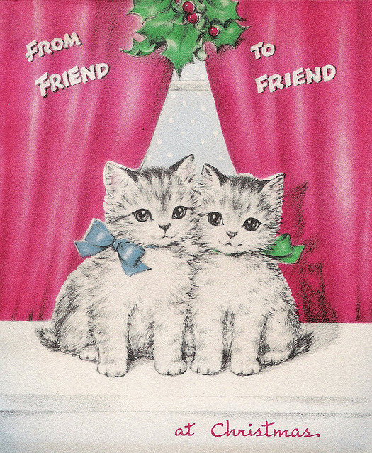 котята - кошка, кошки, котики, котик, животные, котенок, рождество, друзья, коты - оригинал