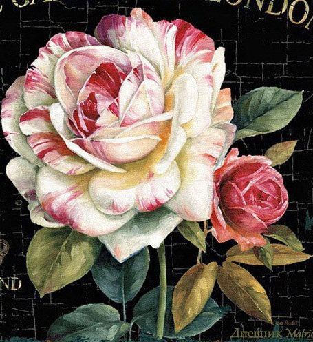 №220424 - оригинал