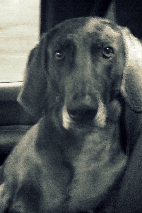 Betty - оригинал