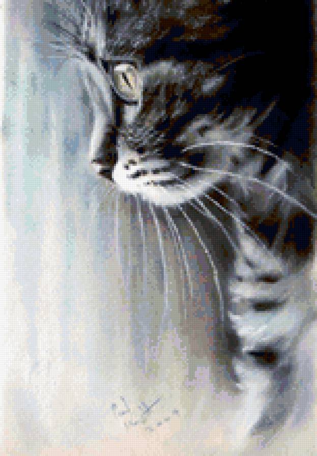 №220656 - кот, животные - предпросмотр