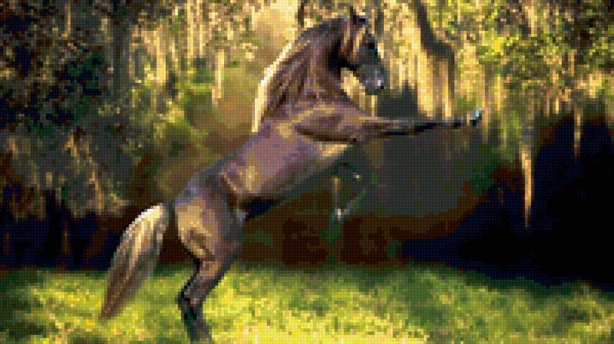 Конь - лошади - предпросмотр