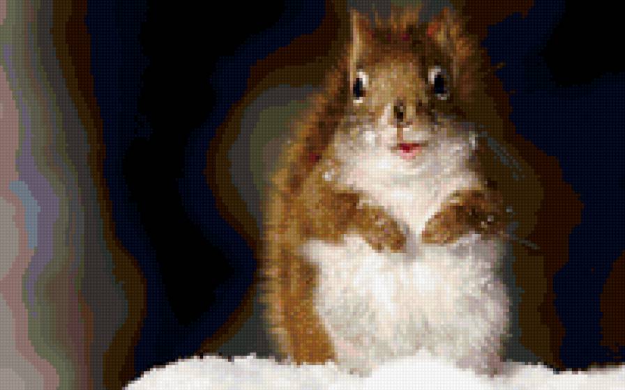 Белочка - белочки - предпросмотр