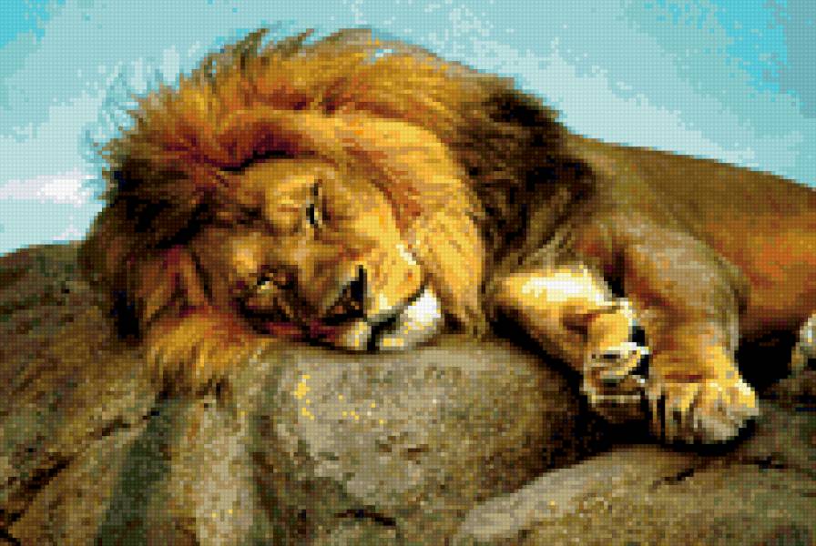 Лев - кошки - предпросмотр
