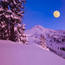 Схема вышивки «Зима»