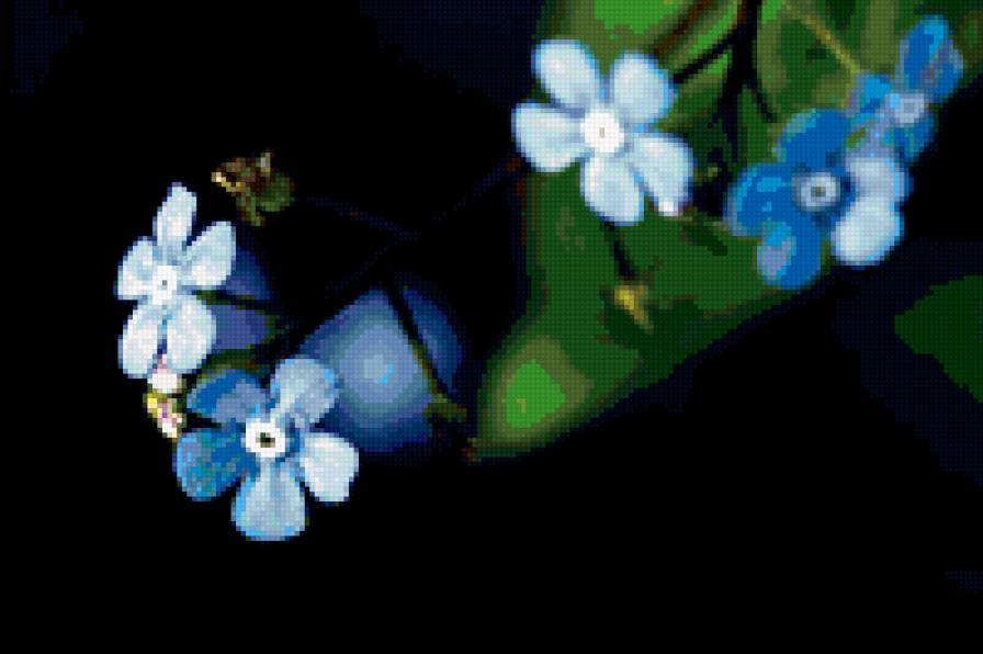 Синие цветочки - цветы - предпросмотр