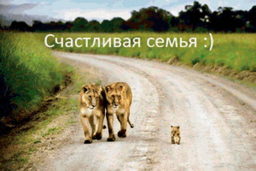 семья... - предпросмотр