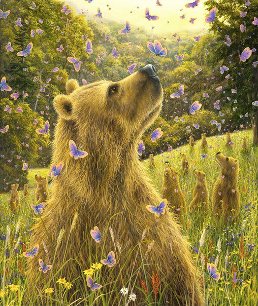 медведь - медведь, бабочки, медведи, лес - оригинал