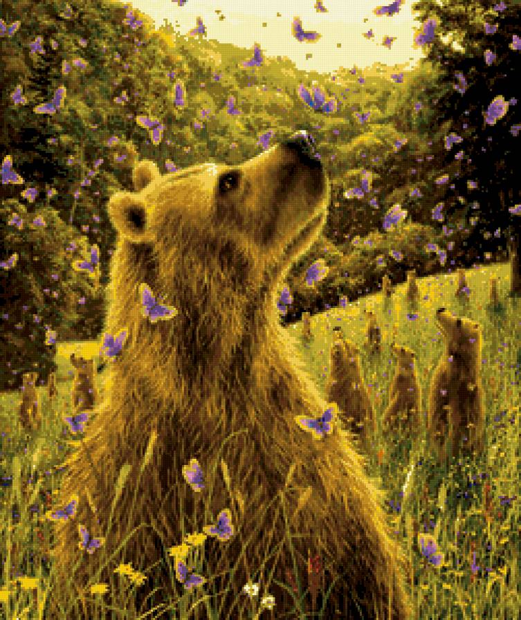 медведь - лес, бабочки, медведи, медведь - предпросмотр