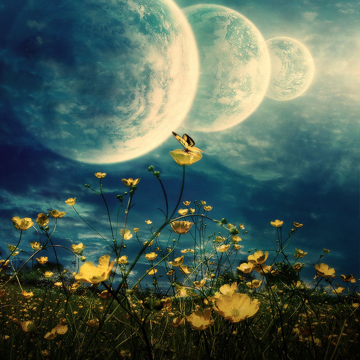 Ночь - оригинал