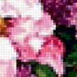 Предпросмотр схемы вышивки «цветы» (№220985)