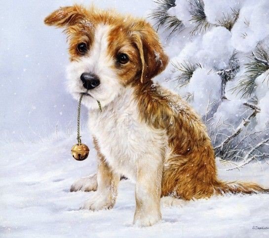 №221015 - оригинал