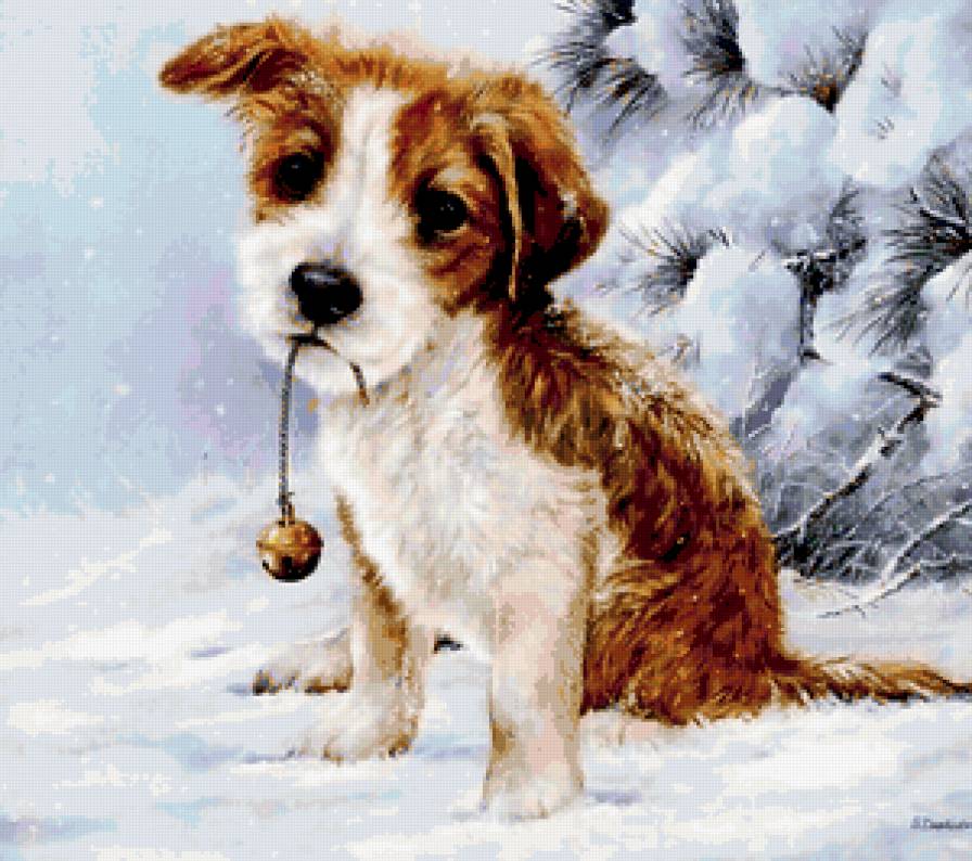 №221015 - предпросмотр