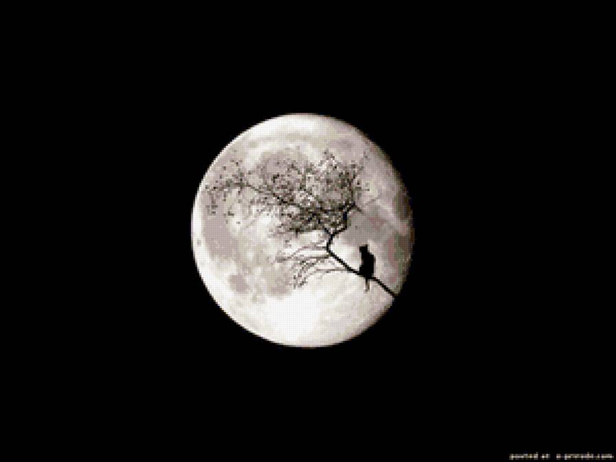 Луна - предпросмотр