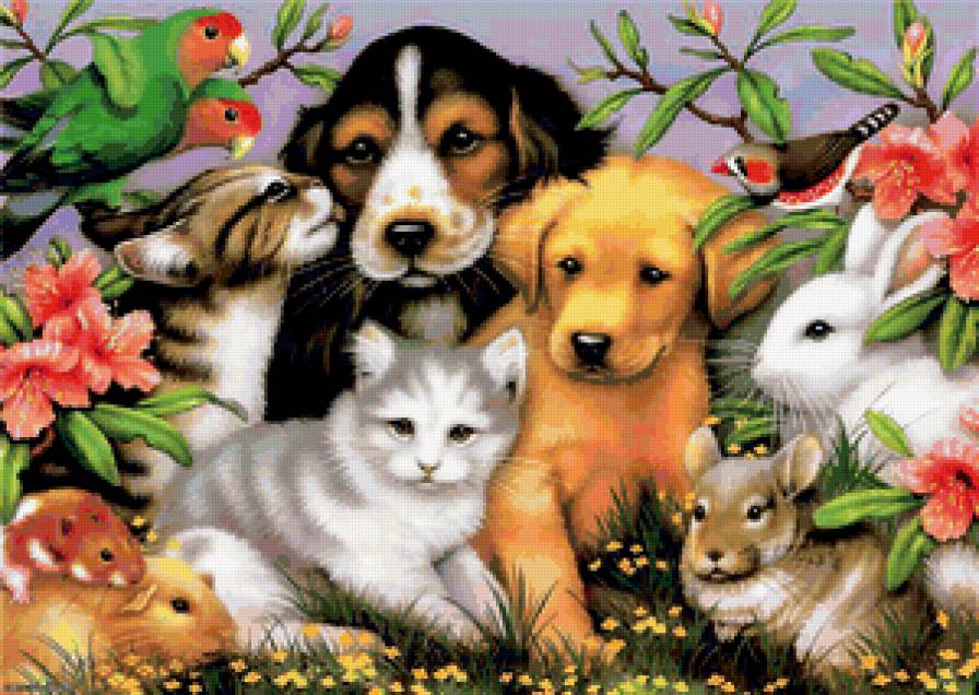 МИЛАШКИ - мыш, симпотяшки, кошка, попугй, кролик, собака, домашние животные - предпросмотр